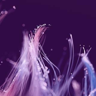 Transcription wallpaper