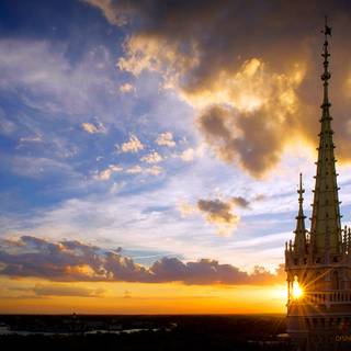 Disney 100 wallpaper