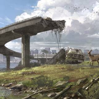 HBO The Last of Us poster wallpaper