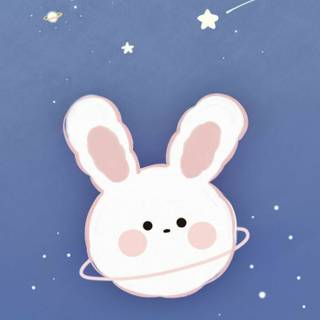 Cute bunny aesthetic wallpaper