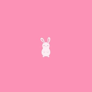 Cute bunny aesthetic wallpaper