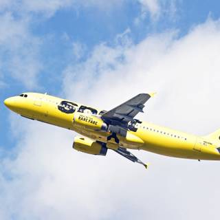 Spirit Airlines wallpaper