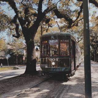 St. Charles Streetcar wallpaper