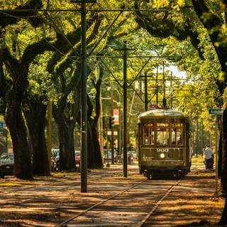 St. Charles Streetcar wallpaper
