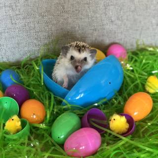 Hedgehog Easter wallpaper