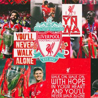 Liverpool squad 2023 wallpaper