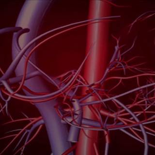 Arteries wallpaper