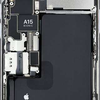 iPhone X-ray wallpaper