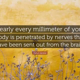 Nearly spring wallpaper