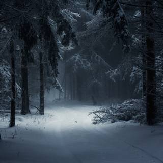 Dark winter PC wallpaper
