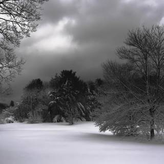 Dark winter PC wallpaper