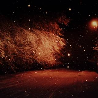 Dark winter PC wallpaper