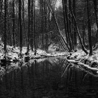 Dark winter PC wallpaper