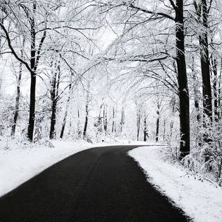 Dark winter PC wallpaper