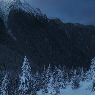 Dark winter PC wallpaper