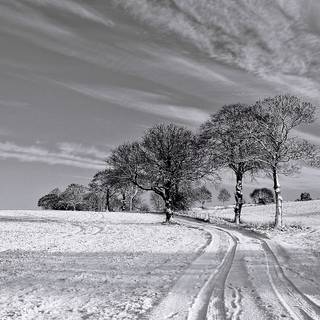 Dark winter PC wallpaper