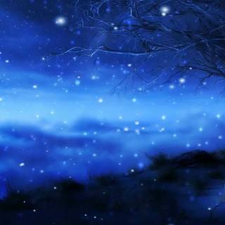 Dark winter PC wallpaper