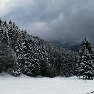 Dark winter PC wallpaper