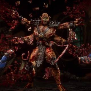 Mortal Kombat Fatality wallpaper