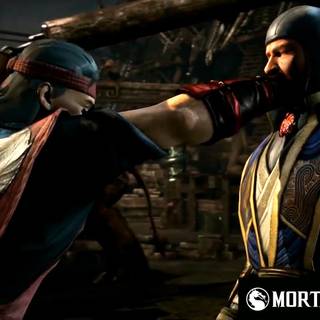 Mortal Kombat Fatality wallpaper