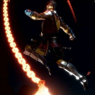 Mortal Kombat Fatality wallpaper