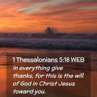 Money is everything wallpaper