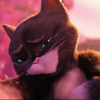 Kitty Softpaws wallpaper