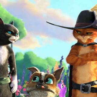 Kitty Softpaws wallpaper