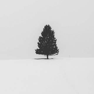 Winter tree iPhone wallpaper