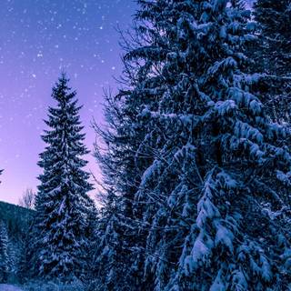 Winter tree iPhone wallpaper