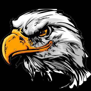 Eagle symbol wallpaper