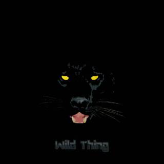 Puma black wallpaper