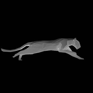 Puma black wallpaper
