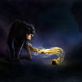 Puma black wallpaper