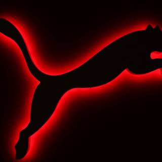 Puma black wallpaper