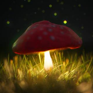 Yellow mushroom wallpaper