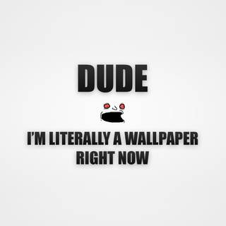 Funny messages wallpaper