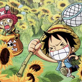 Funny One Piece wallpaper