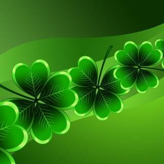 Shamrocks wallpaper