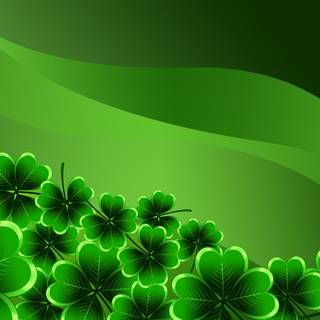 Shamrocks wallpaper