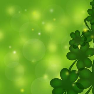 Shamrocks wallpaper