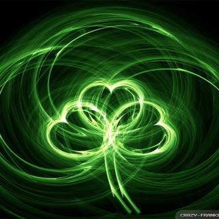Shamrocks wallpaper