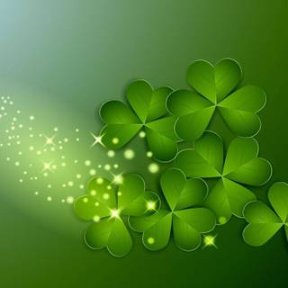 Shamrocks wallpaper