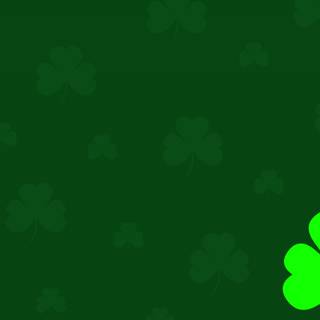 Shamrocks wallpaper