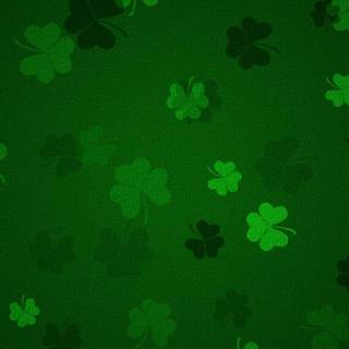 Shamrocks wallpaper