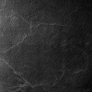 Black ground floor wallpaper