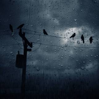 Sad rainy day wallpaper