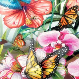 Butterfly spring iPhone wallpaper