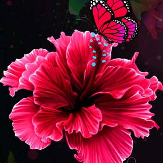 Butterfly spring iPhone wallpaper