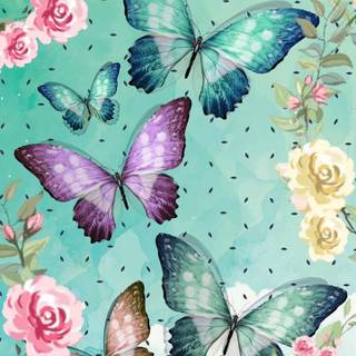 Butterfly spring iPhone wallpaper